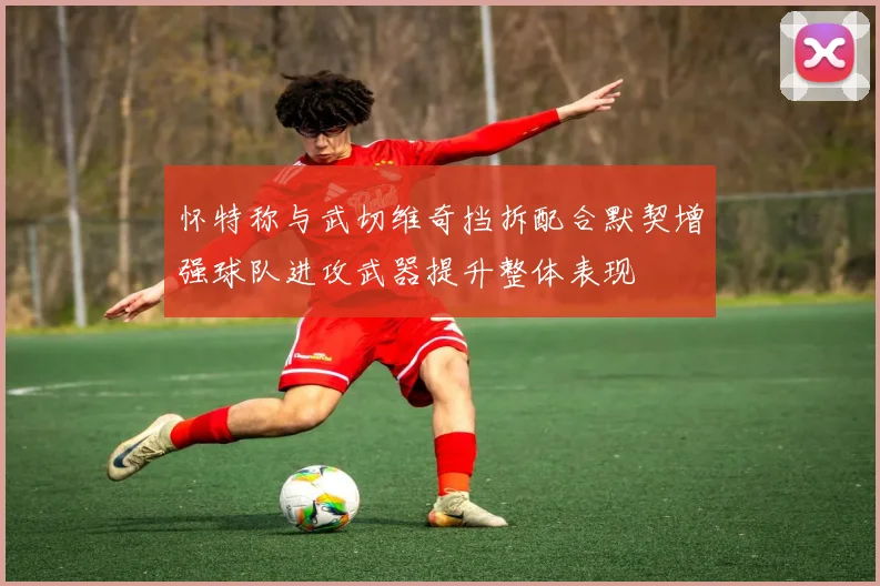 怀特称与武切维奇挡拆配合默契增强球队进攻武器提升整体表现