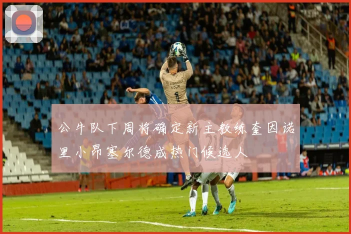 公牛队下周将确定新主教练奎因诺里小昂塞尔德成热门候选人