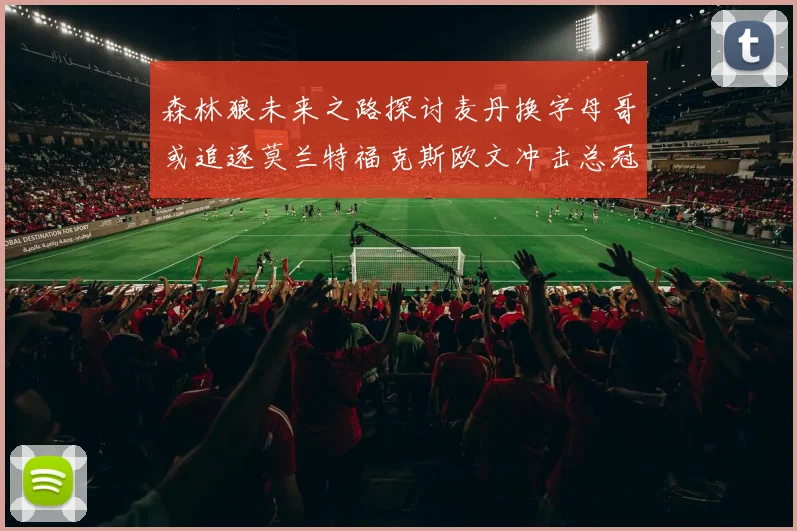 森林狼未来之路探讨麦丹换字母哥或追逐莫兰特福克斯欧文冲击总冠军