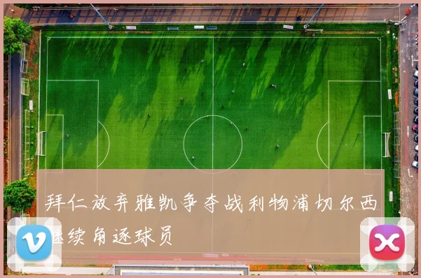 拜仁放弃雅凯争夺战利物浦切尔西继续角逐球员