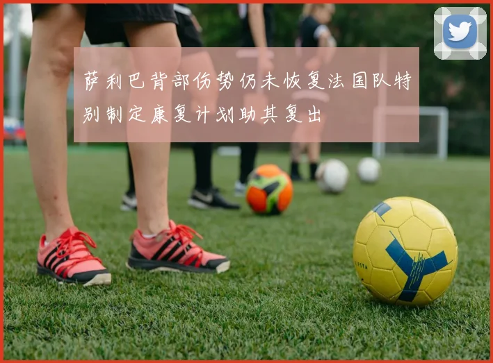 萨利巴背部伤势仍未恢复法国队特别制定康复计划助其复出